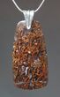 Large Brown Spiderweb Dinosaur Gembone Pendant #22535-2